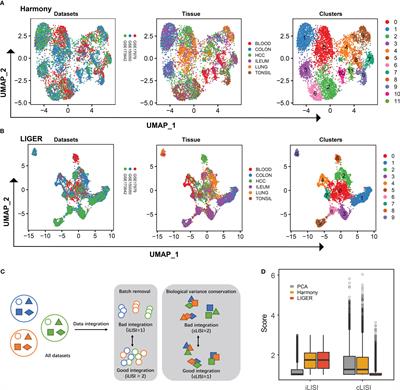 Tissue specific imprinting on innate lymphoid cells during homeostasis and disease process revealed by integrative inference of single-cell transcriptomics